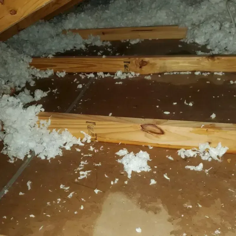 Attic Water Damage in Shoshone County, ID