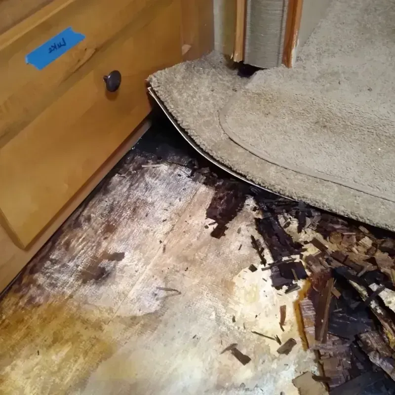 Wood Floor Water Damage in Shoshone County, ID